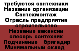 требуются сантехники › Название организации ­ Сантехмонтаж › Отрасль предприятия ­ строительство › Название вакансии ­ слесарь-сантехник › Подчинение ­ бригадир › Минимальный оклад ­ 25 000 › Возраст от ­ 25 › Возраст до ­ 45 - Пензенская обл. Работа » Вакансии   . Пензенская обл.